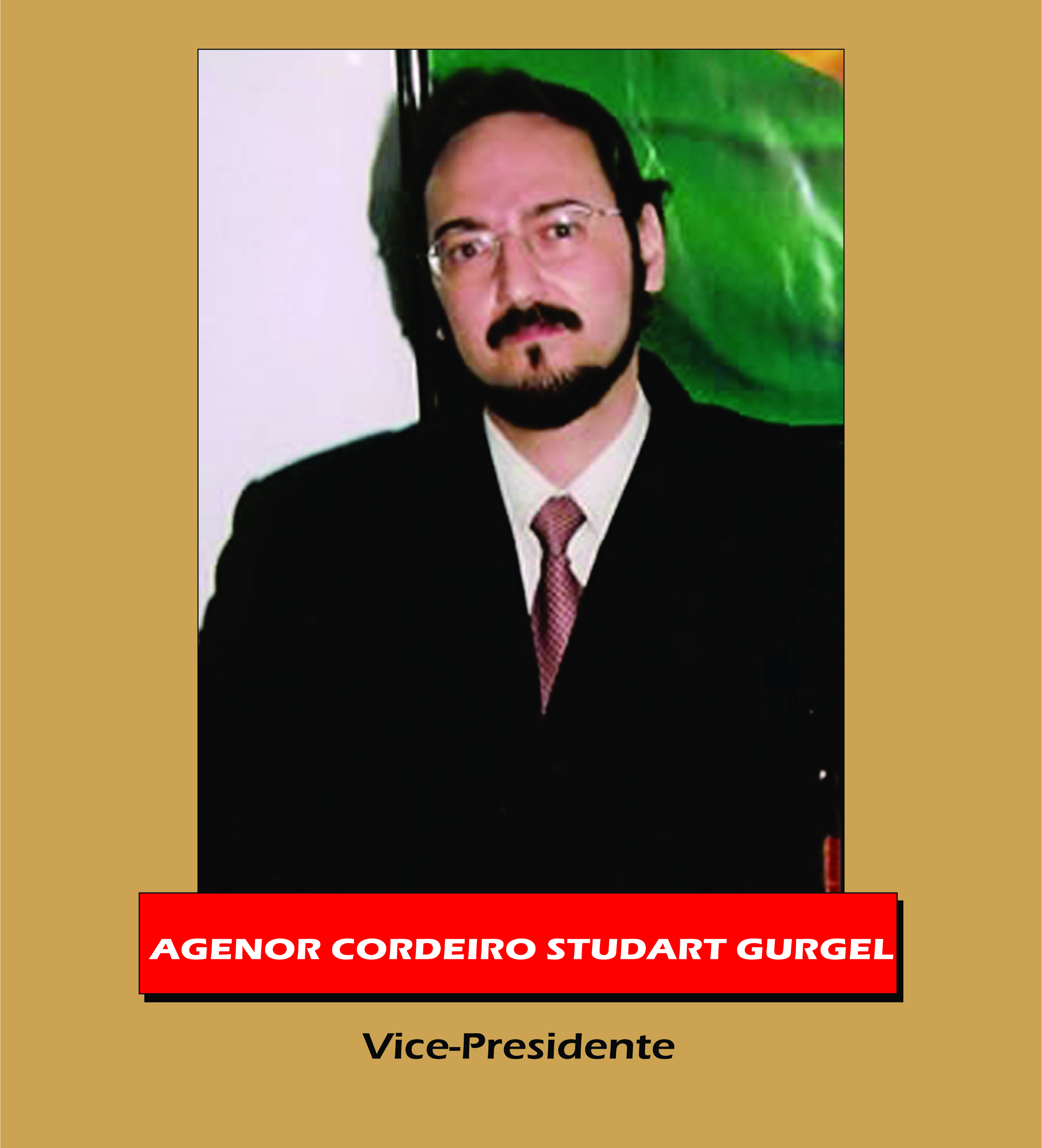 vice-presidente 2025 vice-presidente 2025